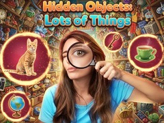 Spel Hidden Objects: Lots of Things