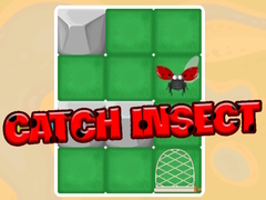Spel Catch Insect