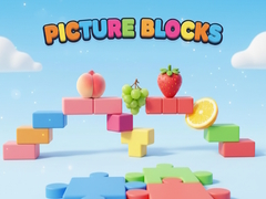 Spel Picture Blocks