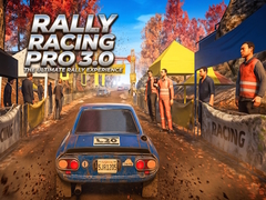Spel Rally Racing Pro 3.0 