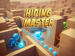 Spel Hiding Master
