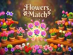 Spel Flowers Match