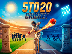 Spel 5TO20 Cricket