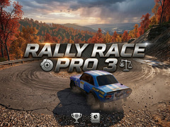Spel Rally Race Pro 3