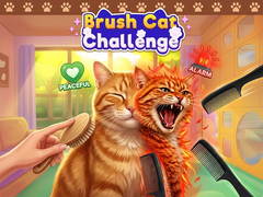 Spel Brush Cat Challenge 