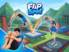 Spel Flip Spot