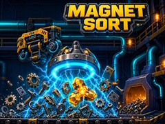 Spel Magnet Sort