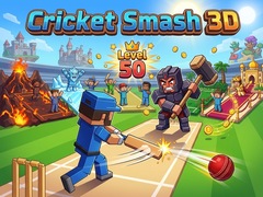 Spel Cricket Smash 3D