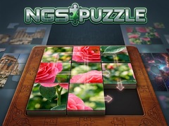 Spel NGS Puzzle
