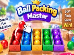 Spel Packing Master Puzzle