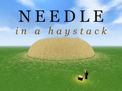 Spel Needle in a Haystack