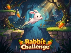 Spel Rabbit Challenge