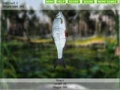 Spel Lake Fishing 3.0