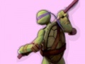 Spel Ninja Turtles Colours Memory
