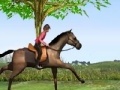 Spel Horse Jumping