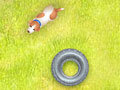 Spel Pop Top Pups