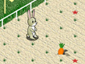 Spel Animal 4 Steps