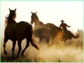 Spel Cowboy Horses Sliding
