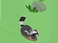 Spel Feral Slalom