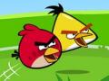 Angry Birds spelen 
