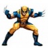 Wolverine en de X-Men spelletjes 
